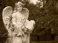 Angels of Glenwood Series