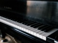 House_Scenes-02