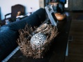 House_Scenes-03