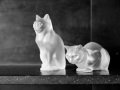 House_Scenes-04