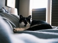 House_Scenes-09