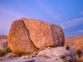 M10_JoshuaTree_180205-M10-2