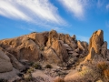 M10_JoshuaTree_180205-M10-6