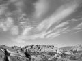 M10_JoshuaTree_180205-M10-8