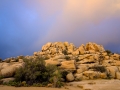 Joshua Tree National Park