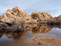 GFX50S_JoshuaTree_190204_0924