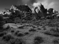 GFX50S_JoshuaTree_190205_1108