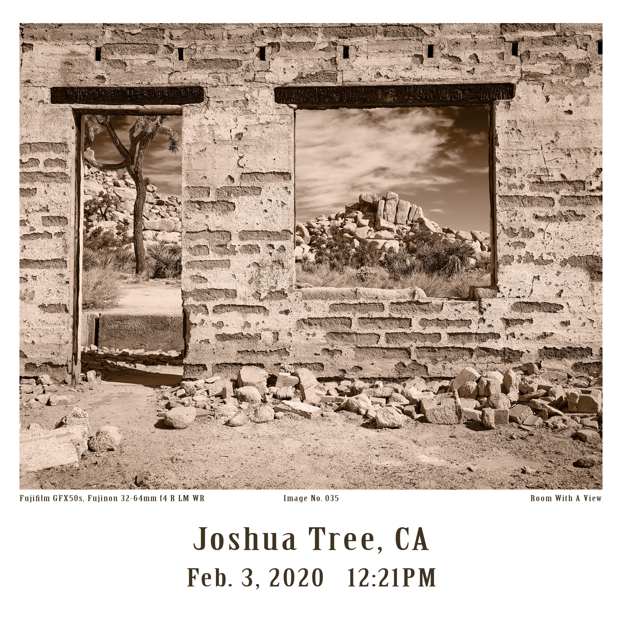 Joshua-Tree-GFX-2020-035