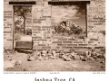Joshua-Tree-GFX-2020-035