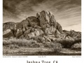 Joshua-Tree-GFX-2020-079