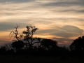 X-T1_Africa_XTGF0943_150105