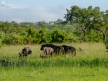 X-T1_Africa_XTGF0379_150105
