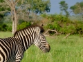X-T1_Africa_XTGF0388_150105