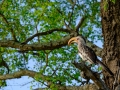 X-T1_Africa_XTGF0420_150105