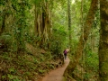 WalkinthePark