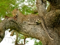 X-T1G_Africa_XTGF0147_150104